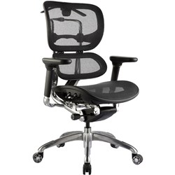 Ergo-1 High Back Executive Chair With Arms Mesh Back Black