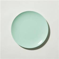 Melamine Plates Mint Green 20cm Set of 12