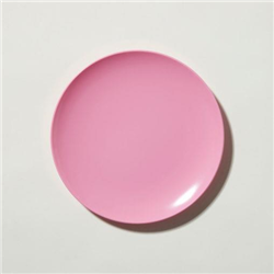 Melamine Plates Pink 20cm Set of 12