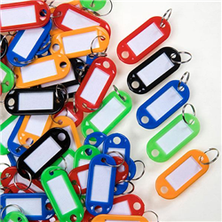 Esselte Key Tags Assorted Bx100 