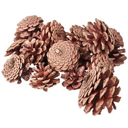 Pine Cones 200g