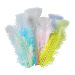 Feathers Pastel 10g Pack