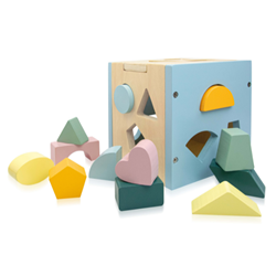 Wooden Shape Sorter and Book