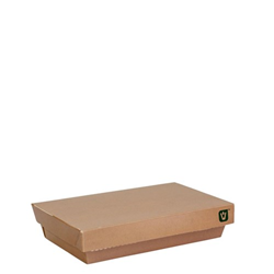 Rectangular Container Aqueous Lined core Brown 1500/200 ctn
